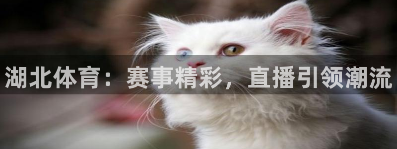 蜘蛛直播nba免费观看：湖北体育：赛事精彩，直播引领潮流