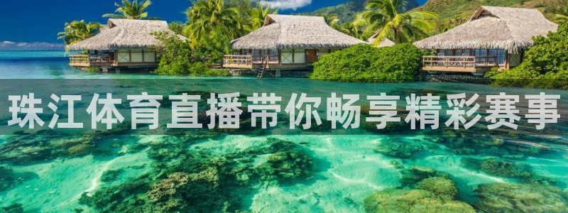 蜘蛛直播体育免费观看：珠江体育直播带你畅享精彩赛事
