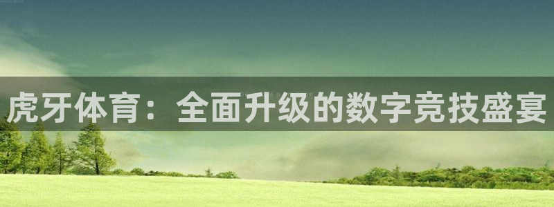 蜘蛛直播 nba：虎牙体育：全面升级的数字竞技盛宴