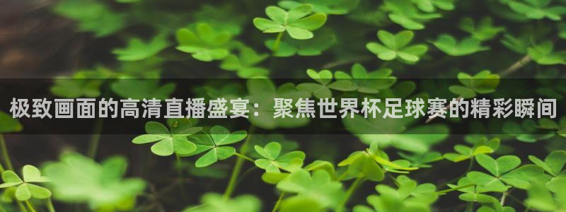 蜘蛛直播 nba：极致画面的高清直播盛宴：聚焦世界杯足球赛的精彩瞬间