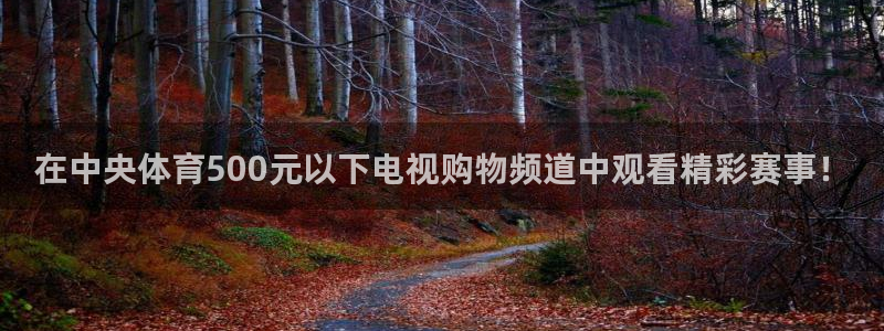 蜘蛛直播体育篮球：在中央体育500元以下电视购物频道中观看精彩赛事！