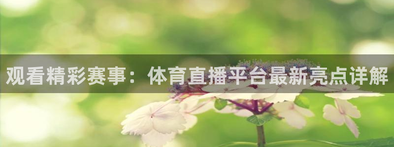 nba直播蜘蛛：观看精彩赛事：体育直播平台最新亮点详解