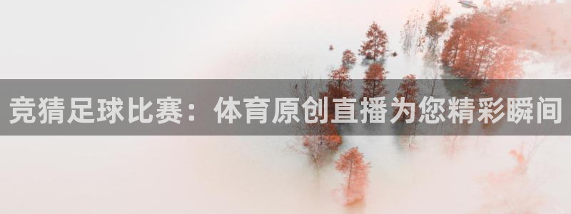 蜘蛛nba直播免费观看：竞猜足球比赛：体育原创直播为您精彩瞬间