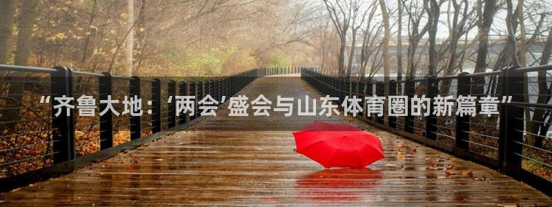 nba蜘蛛直播：“齐鲁大地：‘两会’盛会与山东体育圈的新篇章”