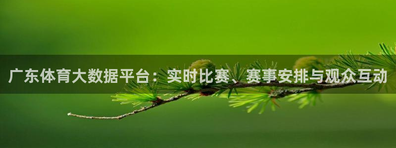 nba蜘蛛直播免费直播在线直播：广东体育大数据平台：实时比赛、赛事安排与观众互动