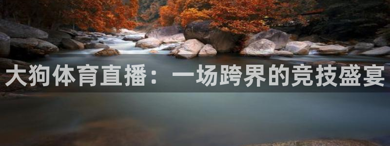 蜘蛛体育直播免费高清在线观看：大狗体育直播：一场跨界的竞技盛宴