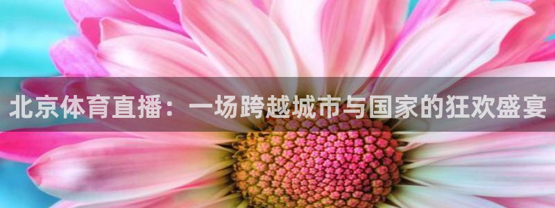 蜘蛛直播nba直播在线直播：北京体育直播：一场跨越城市与国家的狂欢盛宴