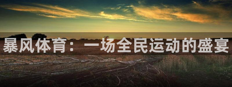 蜘蛛体育免费直播在线观看：暴风体育：一场全民运动的盛宴