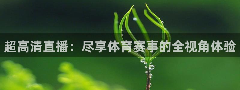 nba直播免费观看直播在线蜘蛛：超高清直播：尽享体育赛事的全视角体验