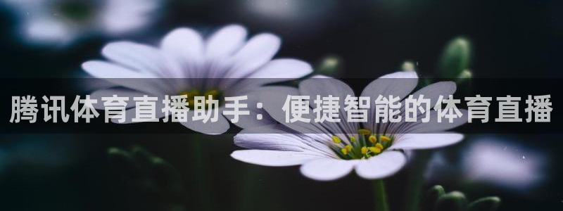 蜘蛛体育免费直播nba：腾讯体育直播助手：便捷智能的体育直播