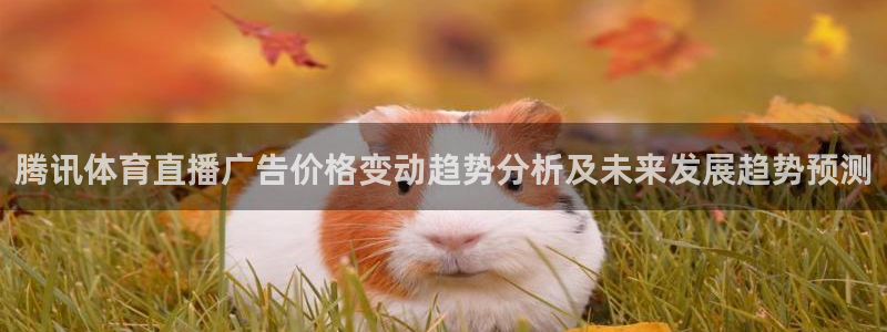 蜘蛛体育免费直播在线观看：腾讯体育直播广告价格变动趋势分析及未来发展趋势预测