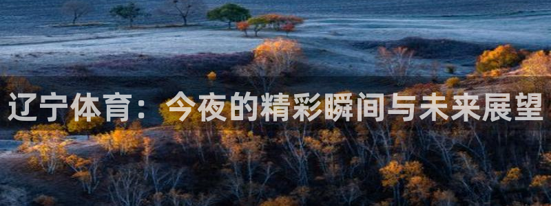 jrs蜘蛛直播nba免费：辽宁体育：今夜的精彩瞬间与未来展望